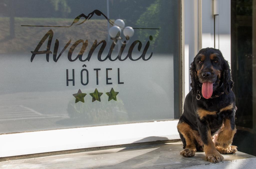 Cit'Hotel Avantici Гап Екстер'єр фото